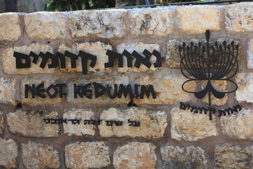 以色列聖經風物大觀園 (NEOT KEDUMIM) 部分多年生植物名稱表